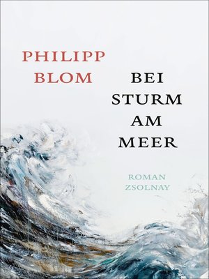 cover image of Bei Sturm am Meer